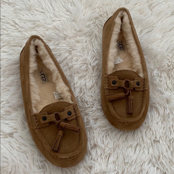 ugg litney